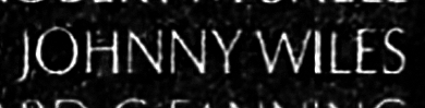 wiles's name engraved in the Wall